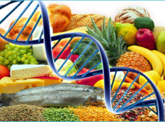 Antioxidantes Naturales frutas y adn